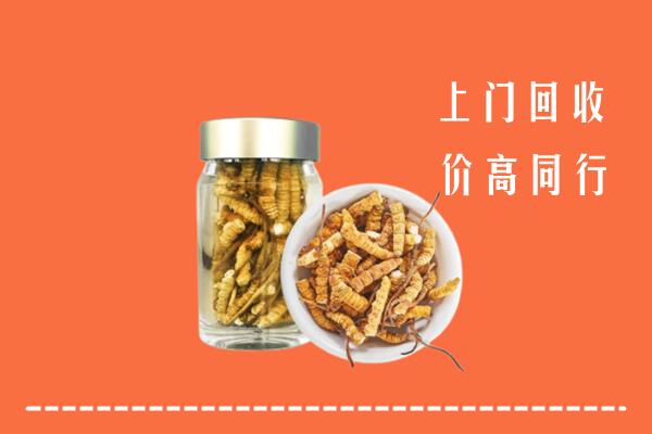 塔城回收冬虫夏草